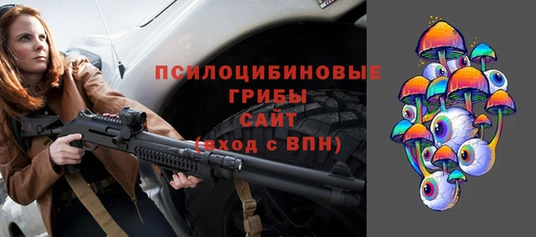 винт Инта