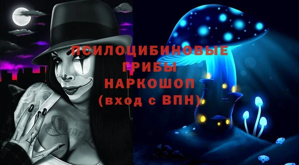 винт Инта