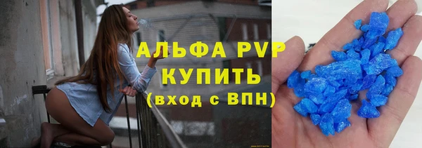 винт Инта