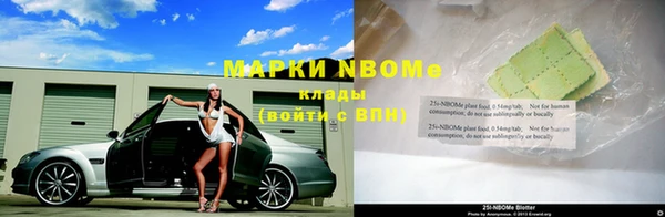 винт Инта