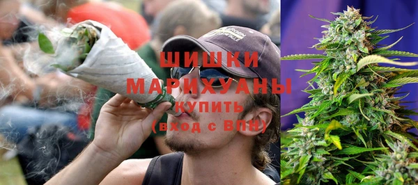 винт Инта