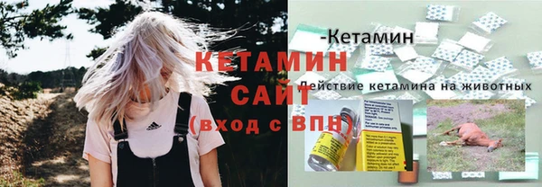 винт Инта
